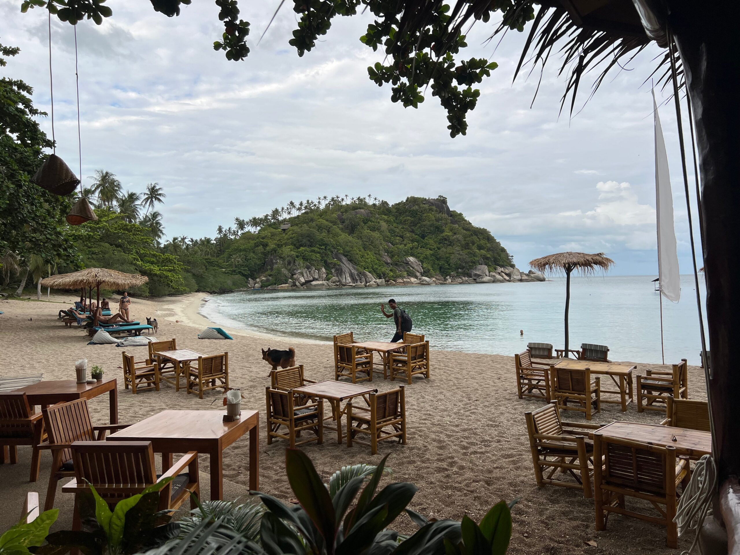 The Island That Calls: A Conversation with Sanctuary Cofounder Gill Beddows